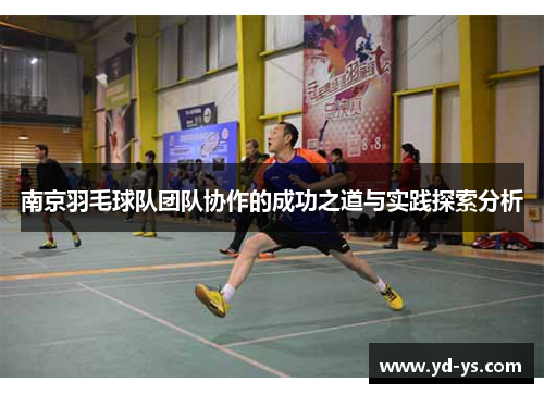 南京羽毛球队团队协作的成功之道与实践探索分析