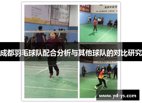 成都羽毛球队配合分析与其他球队的对比研究