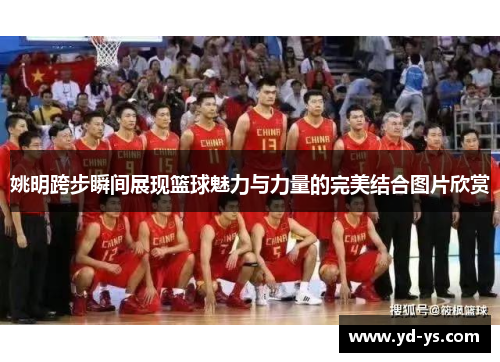 姚明跨步瞬间展现篮球魅力与力量的完美结合图片欣赏