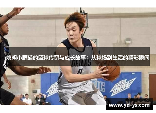 姚明小野猫的篮球传奇与成长故事：从球场到生活的精彩瞬间