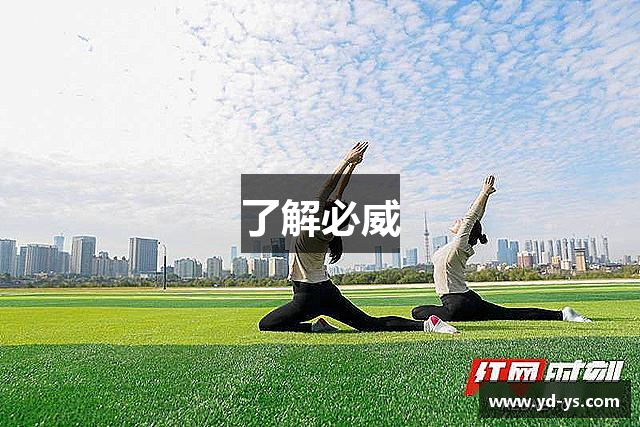 了解必威